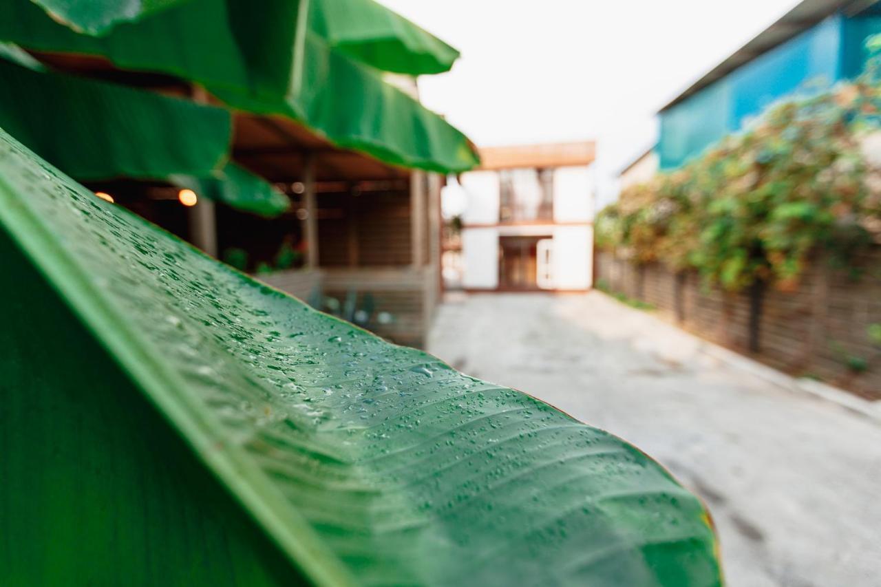 Guest House Amshin Tsandrypsh Bagian luar foto